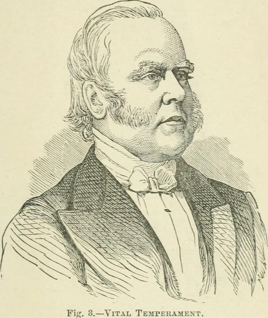 An illustration from Forty years in phrenology; embracing recollections of history, anecdote, and experience, 1882, leaf 382