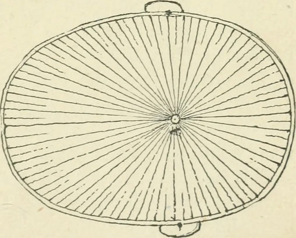 An illustration from Forty years in phrenology; embracing recollections of history, anecdote, and experience, 1882, leaf 392