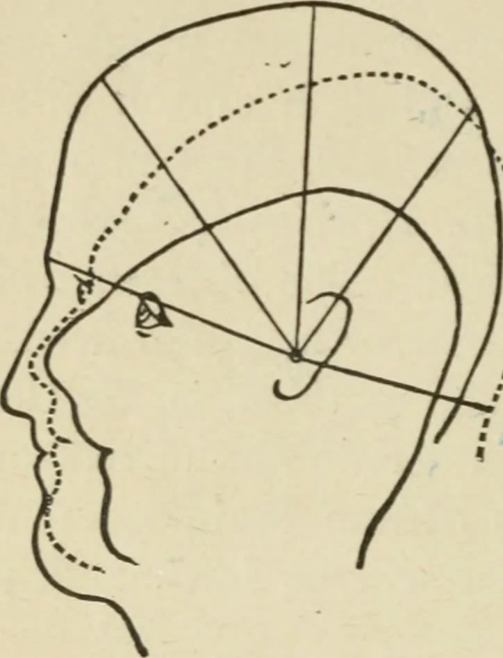 An illustration from Forty years in phrenology; embracing recollections of history, anecdote, and experience, 1882, leaf 395