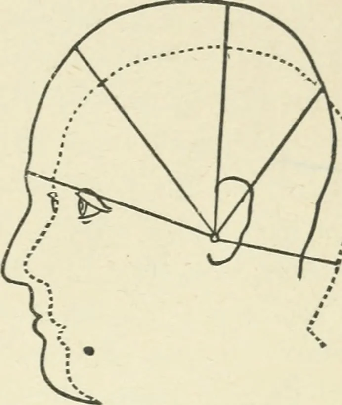 An illustration from Forty years in phrenology; embracing recollections of history, anecdote, and experience, 1882, leaf 396