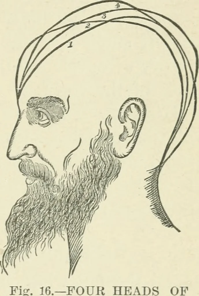 An illustration from Forty years in phrenology; embracing recollections of history, anecdote, and experience, 1882, leaf 398