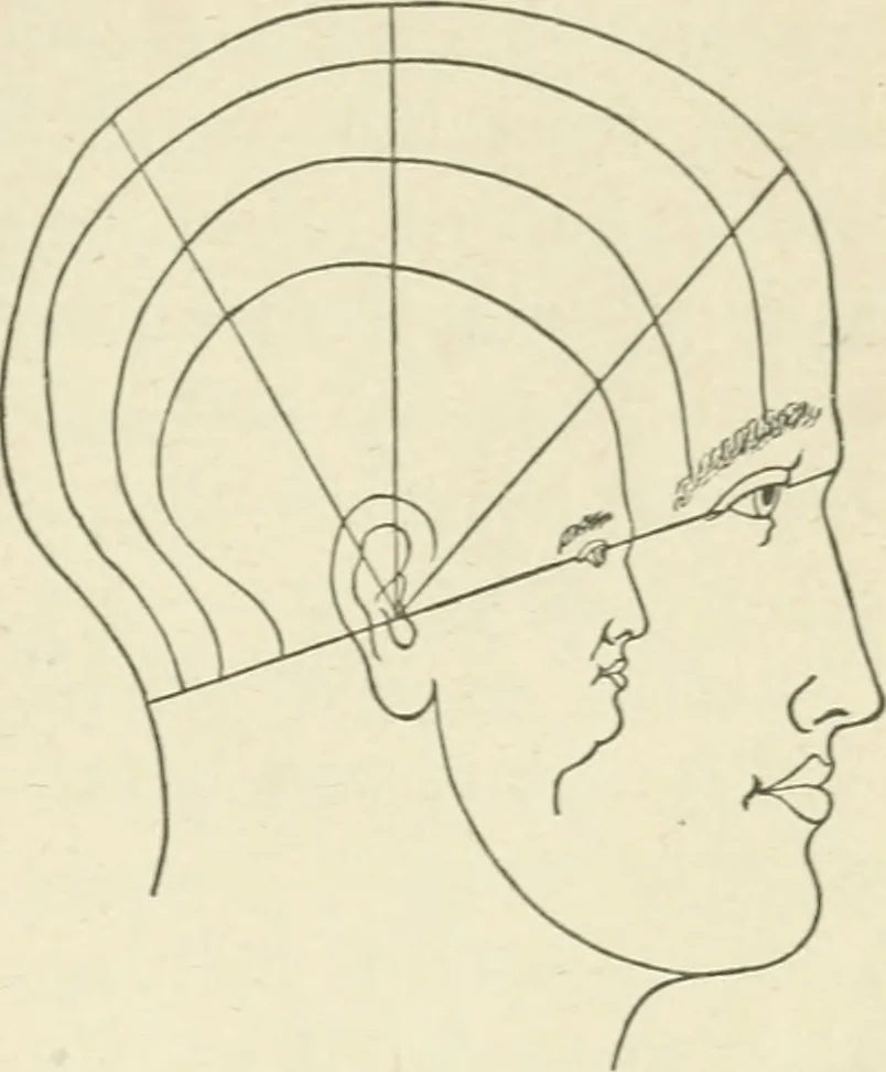 An illustration from Forty years in phrenology; embracing recollections of history, anecdote, and experience, 1882, leaf 400
