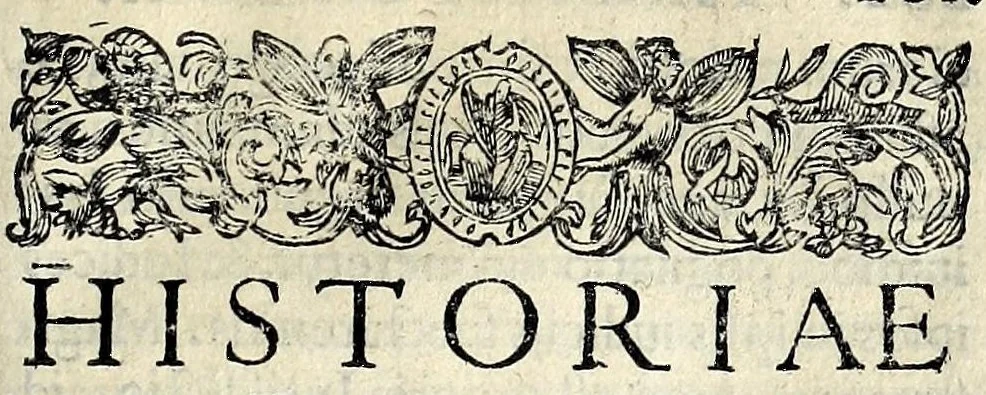 An illustration from Forvm Romanvm, 1591, leaf 317