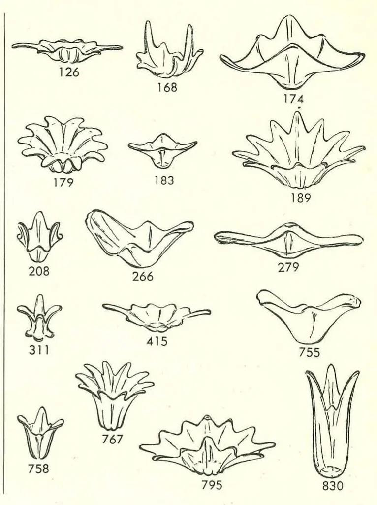 An illustration from Fostoria Glassware Price List Supplement 1961, 1961, leaf 5