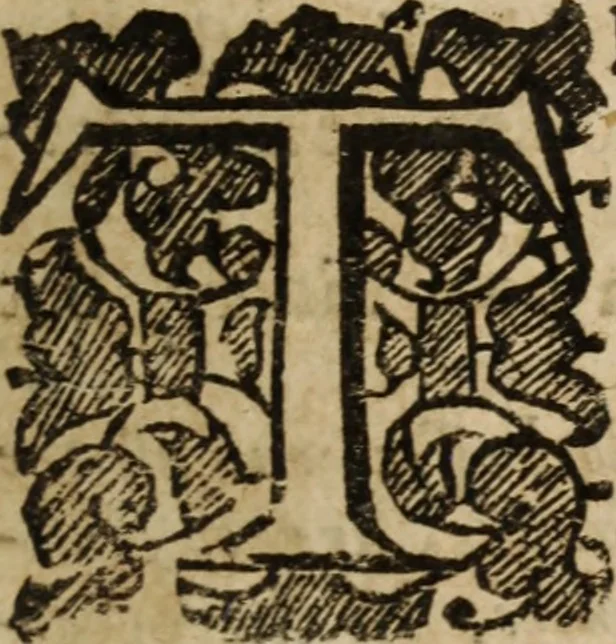 An illustration from The fountain opened : and the water of life flowing forth, for the refreshing of thirsty sinners ... in several sermons preached at Covent-garden on Isa. 55. 1, 2, 3, 1657, leaf 208