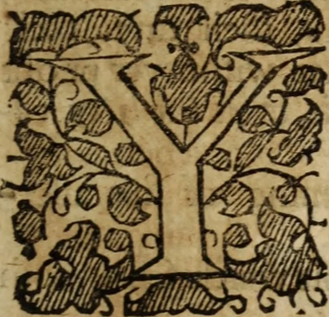 An illustration from The fountain opened : and the water of life flowing forth, for the refreshing of thirsty sinners ... in several sermons preached at Covent-garden on Isa. 55. 1, 2, 3, 1657, leaf 264