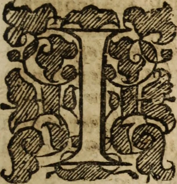 An illustration from The fountain opened : and the water of life flowing forth, for the refreshing of thirsty sinners ... in several sermons preached at Covent-garden on Isa. 55. 1, 2, 3, 1657, leaf 292
