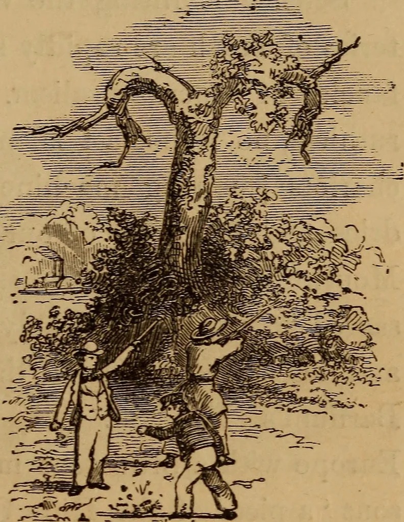 An illustration from The fountain : with jets of new meanings, 1870, leaf 146