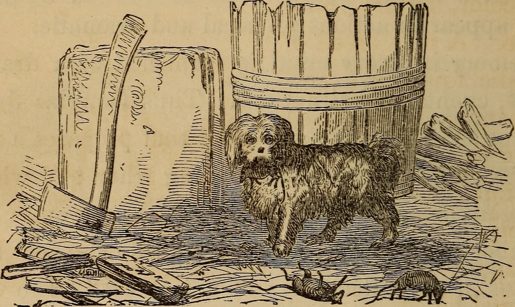 An illustration from The fountain : with jets of new meanings, 1870, leaf 153