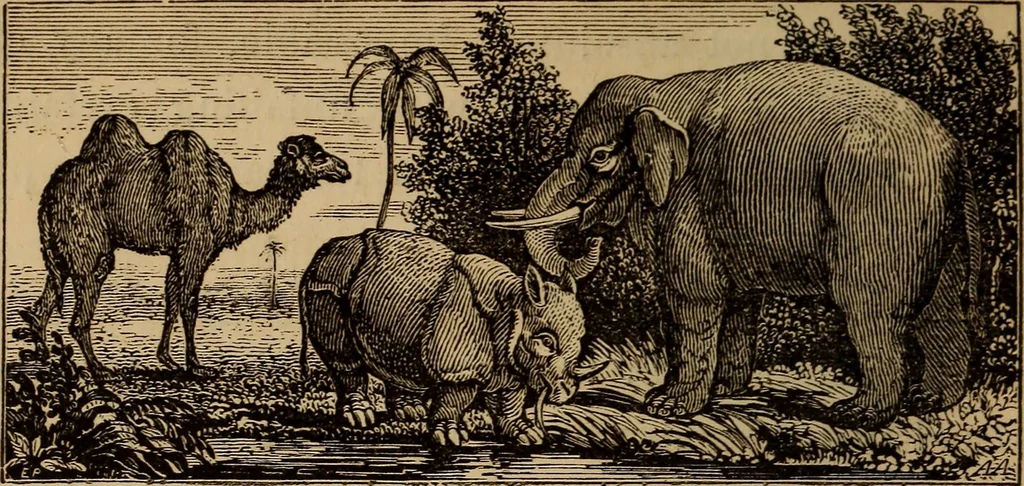 An illustration from The fountain : with jets of new meanings, 1870, leaf 167