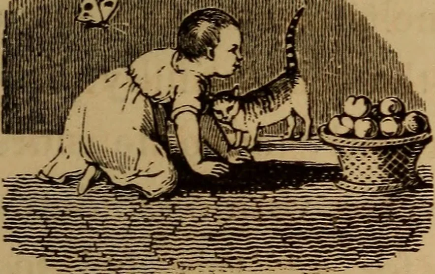An illustration from The fountain : with jets of new meanings, 1870, leaf 172
