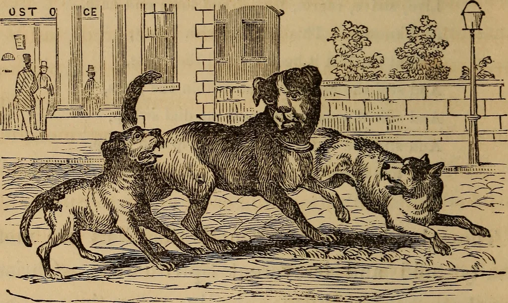 An illustration from The fountain : with jets of new meanings, 1870, leaf 209
