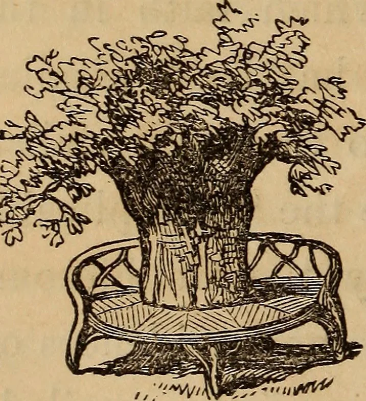 An illustration from The fountain : with jets of new meanings, 1870, leaf 209