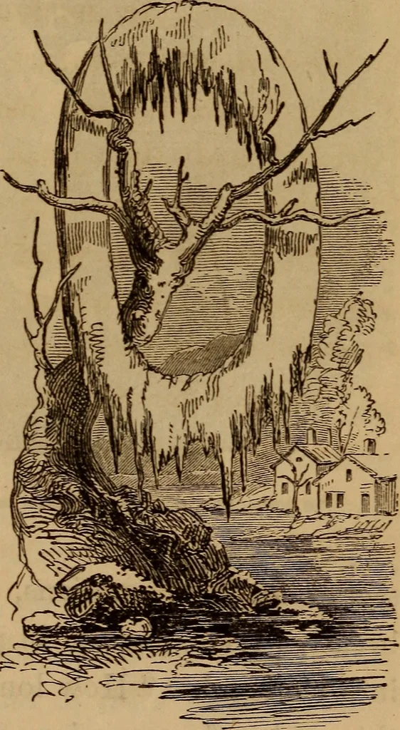 An illustration from The fountain : with jets of new meanings, 1870, leaf 22