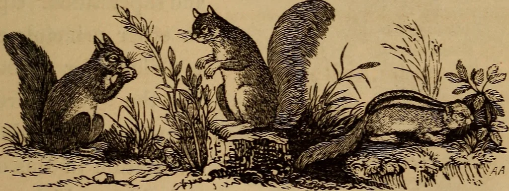 An illustration from The fountain : with jets of new meanings, 1870, leaf 246