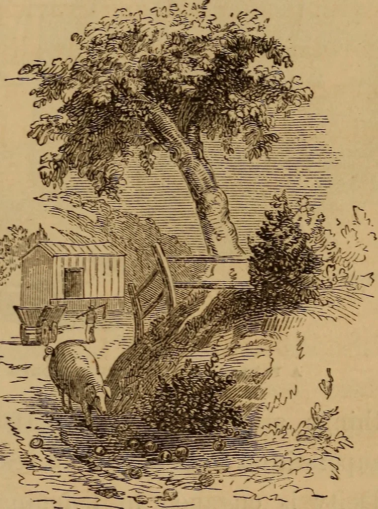 An illustration from The fountain : with jets of new meanings, 1870, leaf 248
