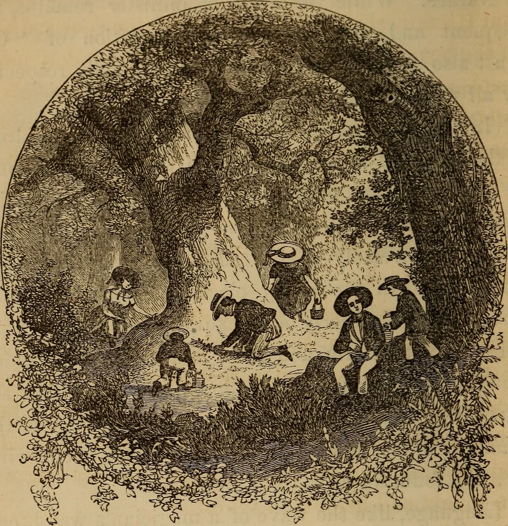 An illustration from The fountain : with jets of new meanings, 1870, leaf 25