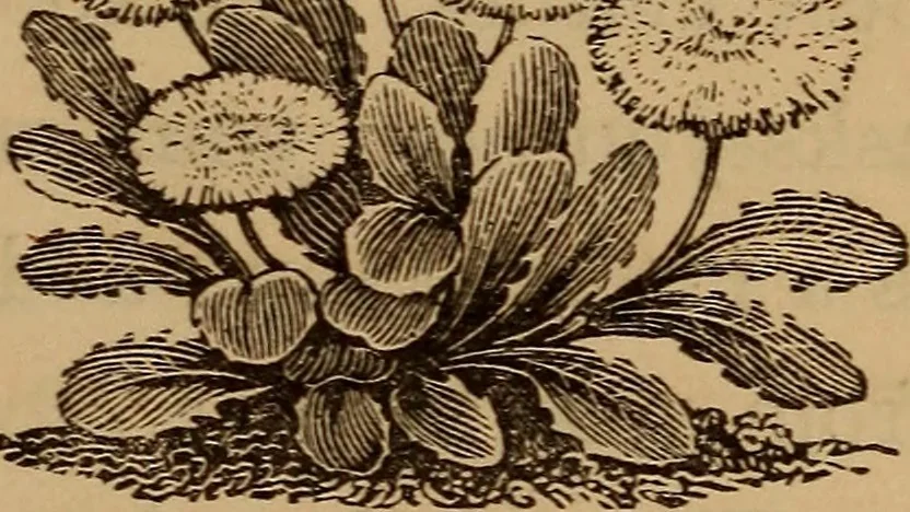 An illustration from The fountain : with jets of new meanings, 1870, leaf 40