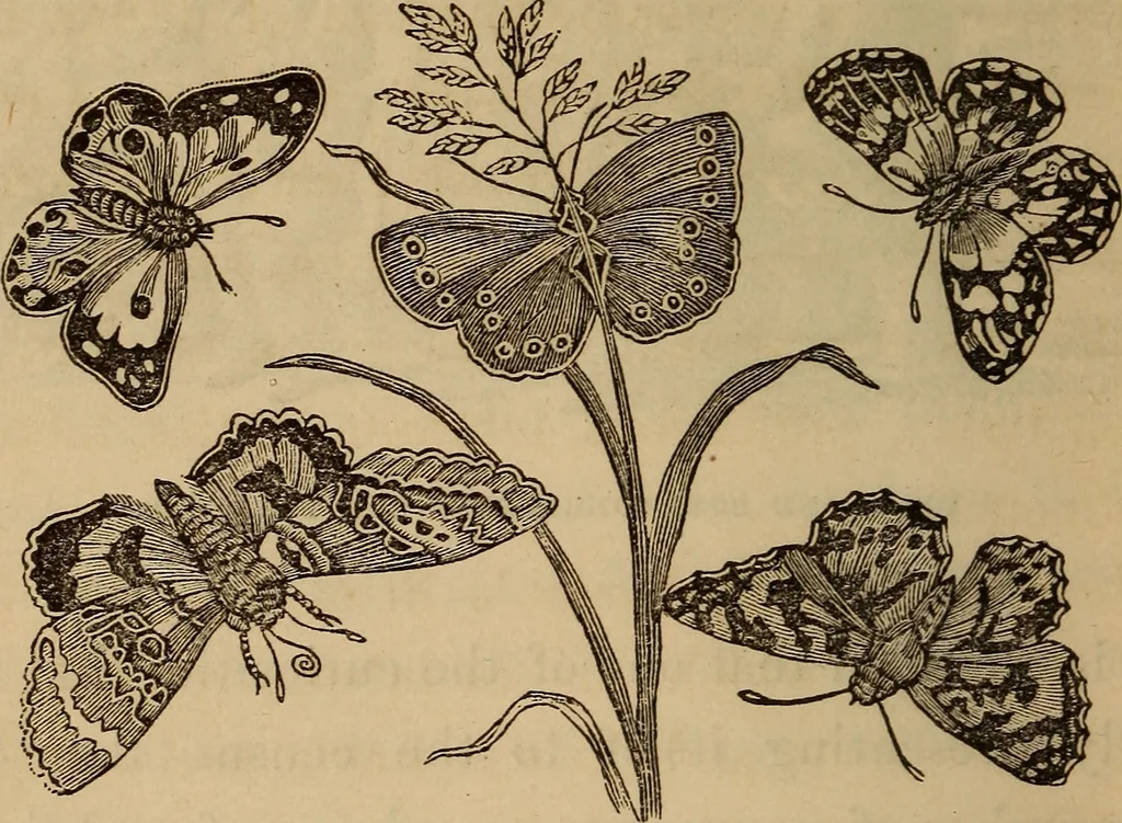 An illustration from The fountain : with jets of new meanings, 1870, leaf 43