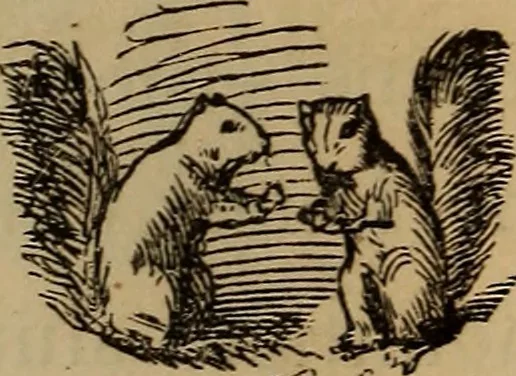 An illustration from The fountain : with jets of new meanings, 1870, leaf 49