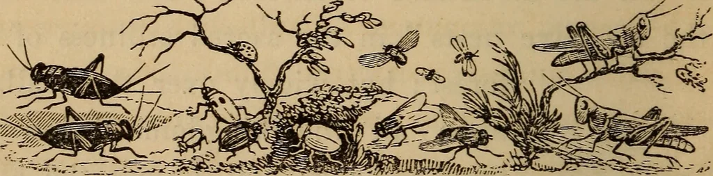 An illustration from The fountain : with jets of new meanings, 1870, leaf 49