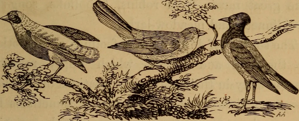 An illustration from The fountain : with jets of new meanings, 1870, leaf 50