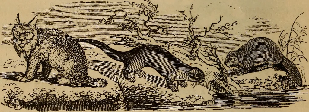 An illustration from The fountain : with jets of new meanings, 1870, leaf 53