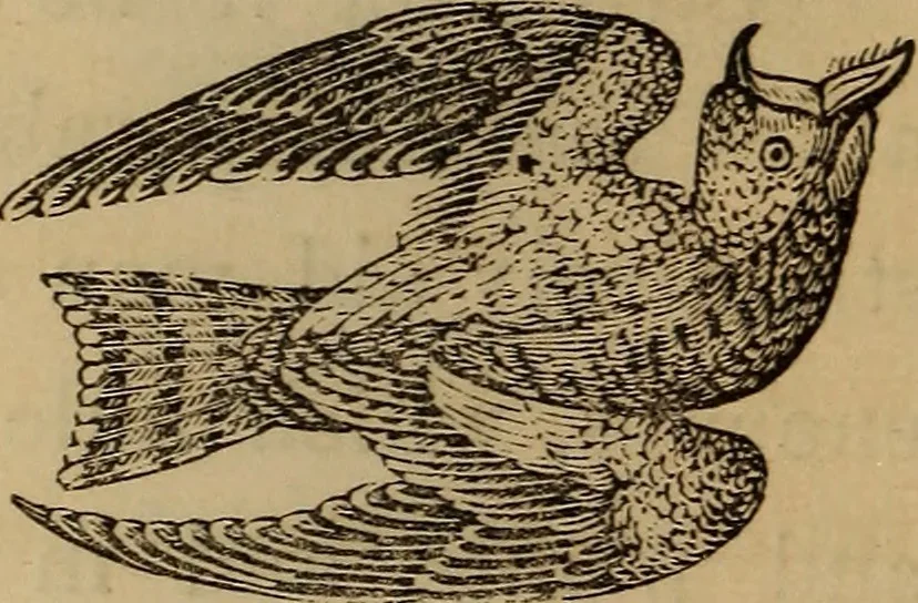 An illustration from The fountain : with jets of new meanings, 1870, leaf 55