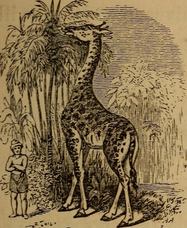An illustration from The fountain : with jets of new meanings, 1870, leaf 56