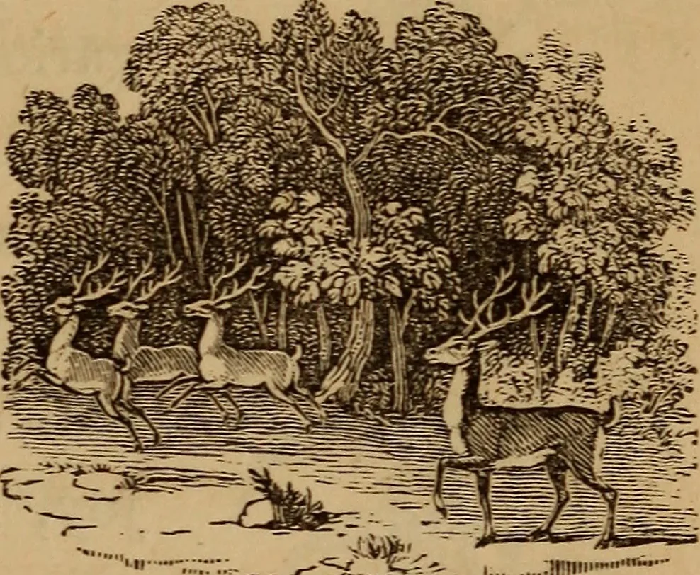 An illustration from The fountain : with jets of new meanings, 1870, leaf 56