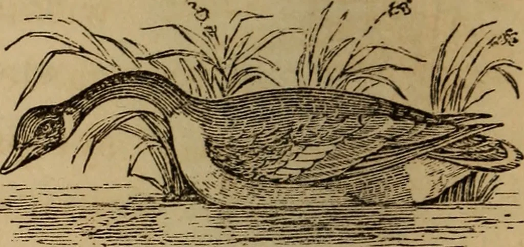 An illustration from The fountain : with jets of new meanings, 1870, leaf 57