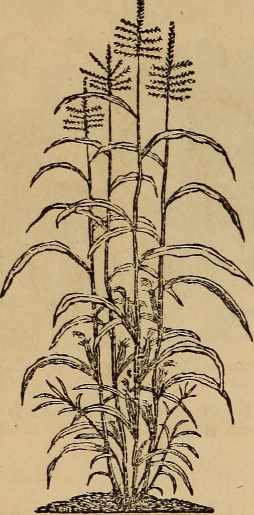 An illustration from The fountain : with jets of new meanings, 1870, leaf 57