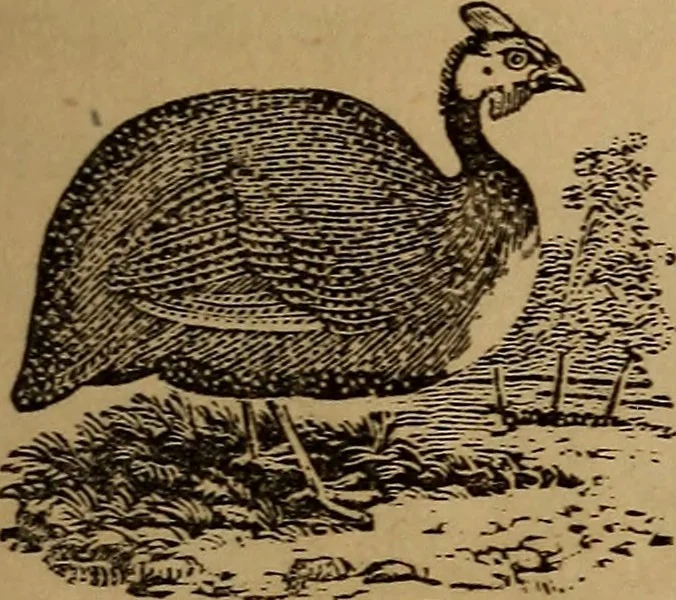 An illustration from The fountain : with jets of new meanings, 1870, leaf 58