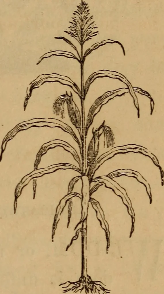An illustration from The fountain : with jets of new meanings, 1870, leaf 58
