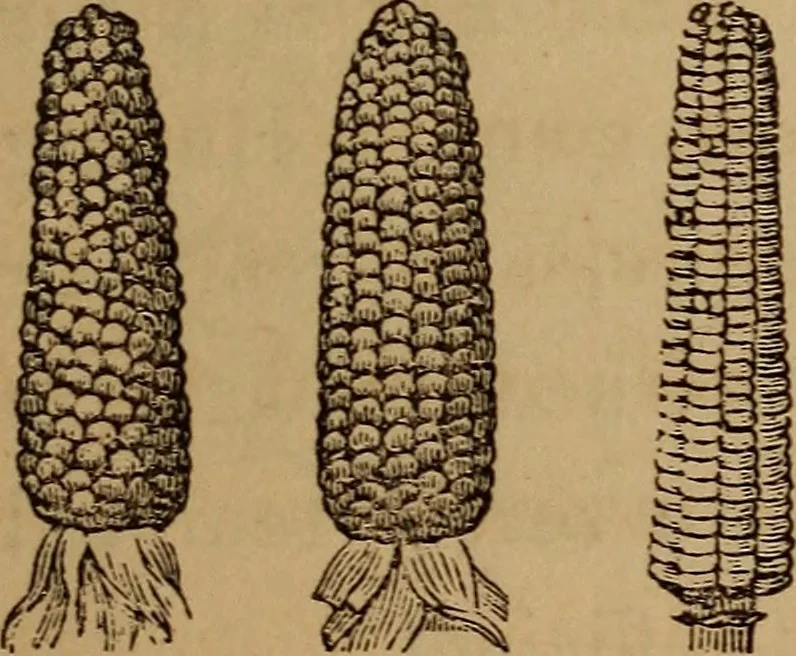 An illustration from The fountain : with jets of new meanings, 1870, leaf 58