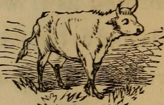 An illustration from The fountain : with jets of new meanings, 1870, leaf 65