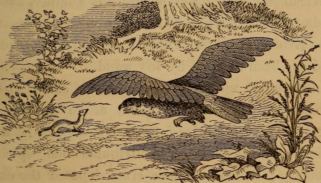An illustration from The fountain : with jets of new meanings, 1870, leaf 76