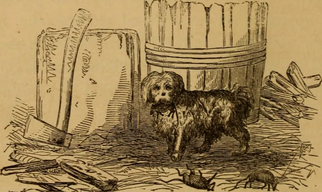 An illustration from The fountain; with jets of new meanings, 1870, leaf 152
