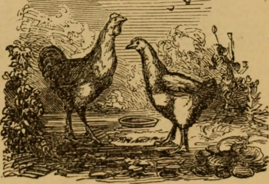 An illustration from The fountain; with jets of new meanings, 1870, leaf 153