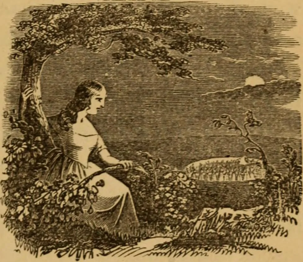 An illustration from The fountain; with jets of new meanings, 1870, leaf 161