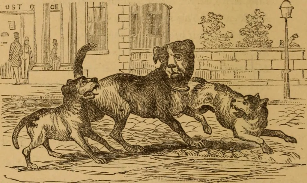 An illustration from The fountain; with jets of new meanings, 1870, leaf 208