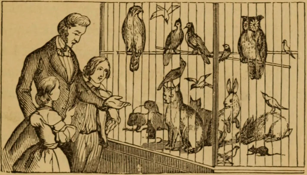 An illustration from The fountain; with jets of new meanings, 1870, leaf 229