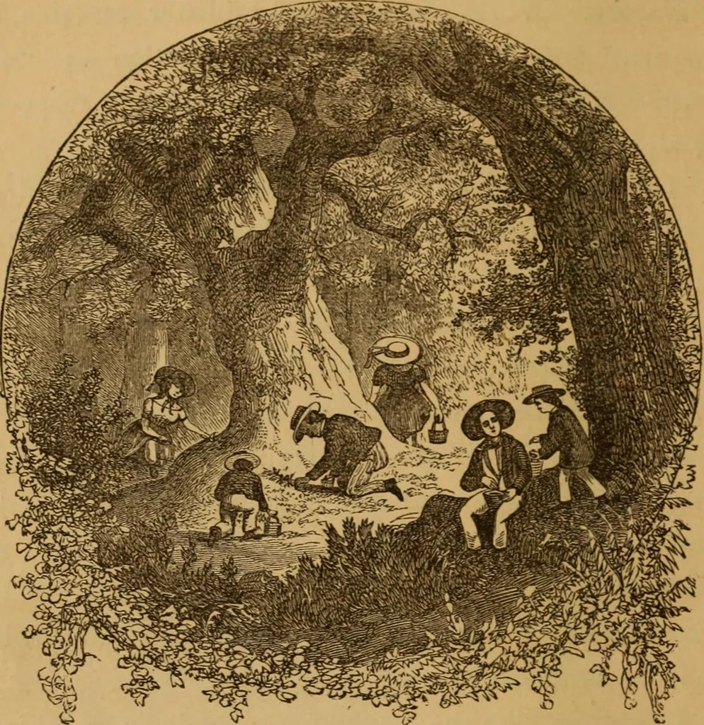 An illustration from The fountain; with jets of new meanings, 1870, leaf 24