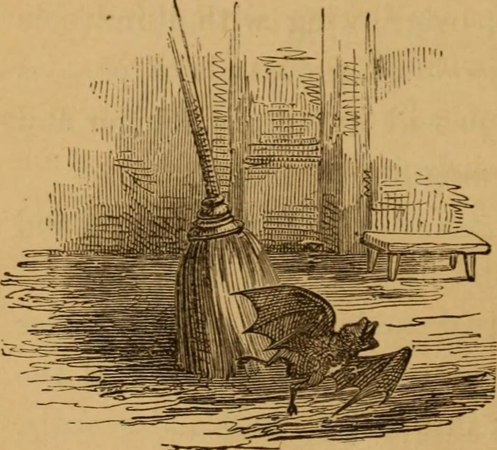 An illustration from The fountain; with jets of new meanings, 1870, leaf 240
