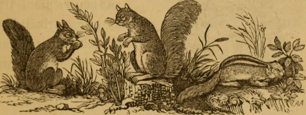 An illustration from The fountain; with jets of new meanings, 1870, leaf 245