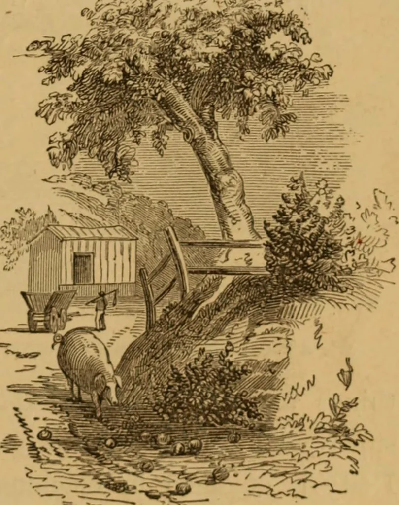 An illustration from The fountain; with jets of new meanings, 1870, leaf 247