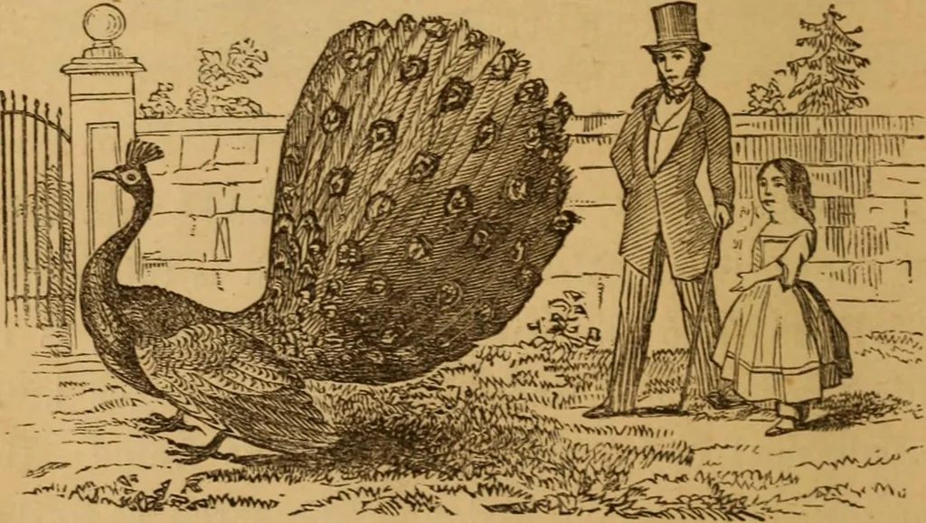 An illustration from The fountain; with jets of new meanings, 1870, leaf 38