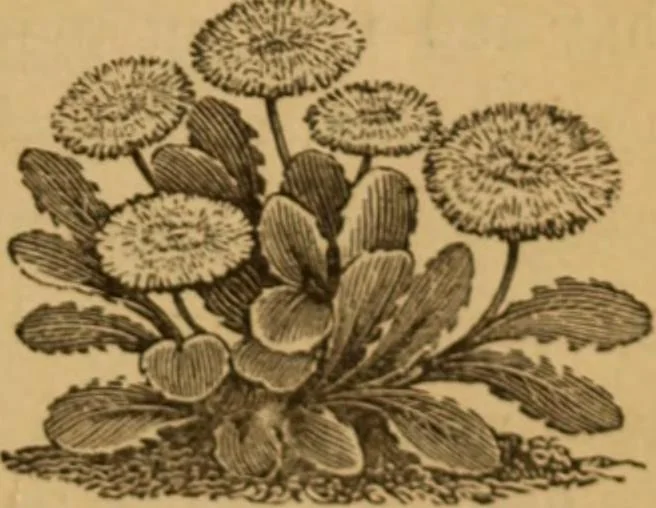 An illustration from The fountain; with jets of new meanings, 1870, leaf 39