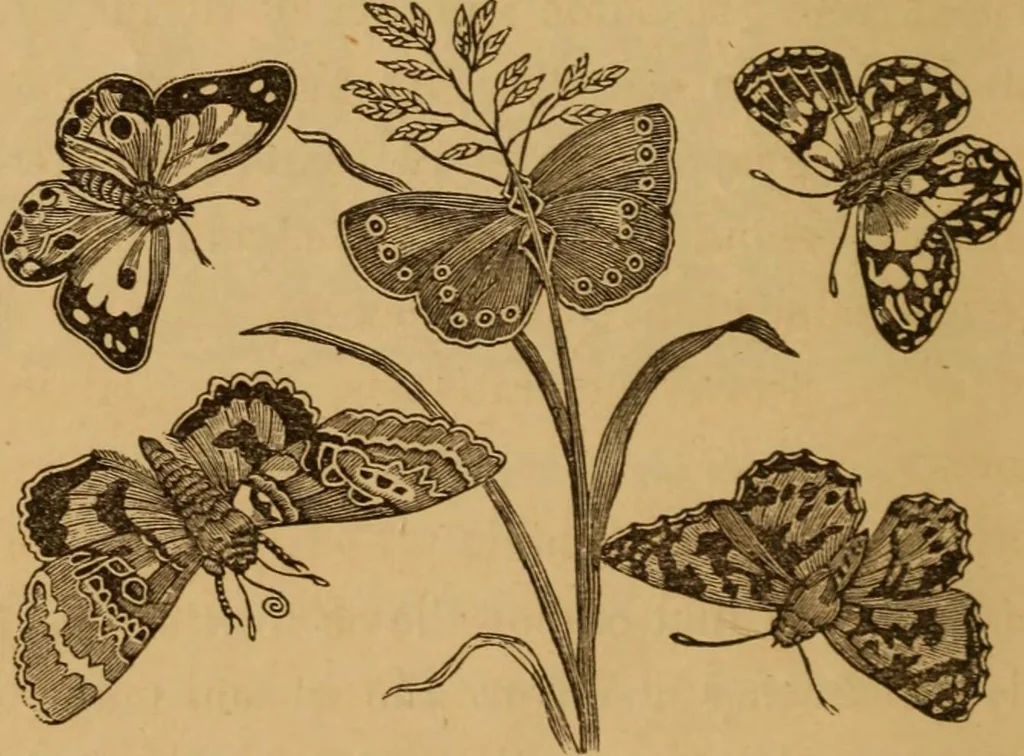 An illustration from The fountain; with jets of new meanings, 1870, leaf 42