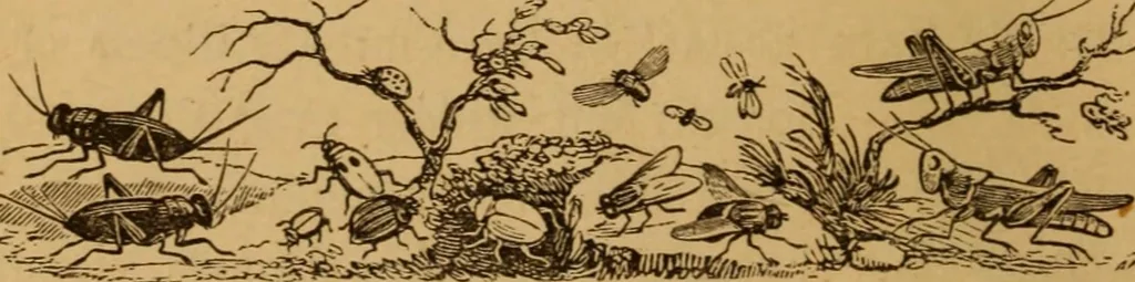 An illustration from The fountain; with jets of new meanings, 1870, leaf 48